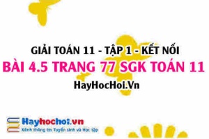 Bài 4.5 SGK Toán 11 tập 1 Kết nối tri thức